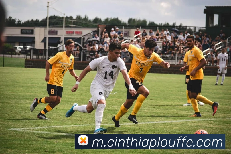 mksports在线登录发展历程